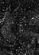  Renato D'Agostin - Tokyo Untitled